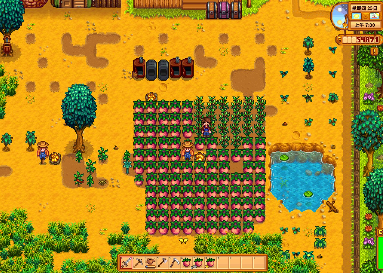 空洞骑士 年度版 截图11